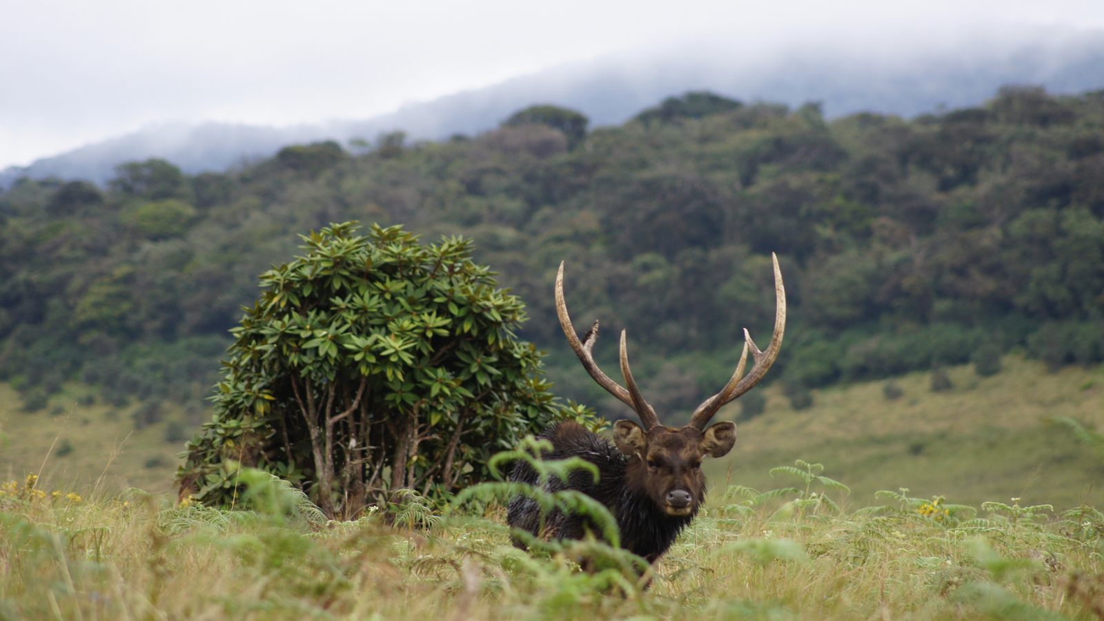 Sri Lanka's National Parks