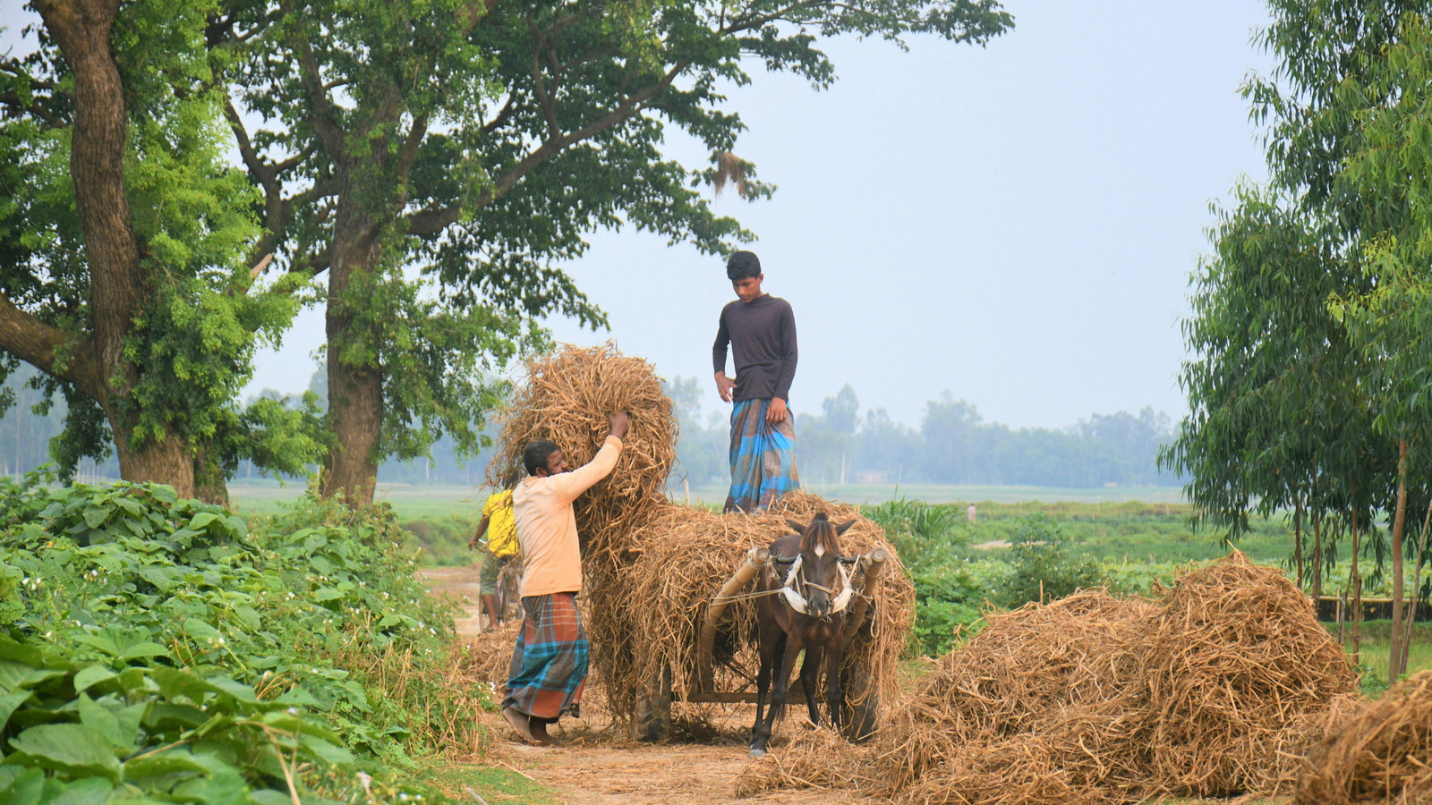 Habarana traditional village life and lake catamaran